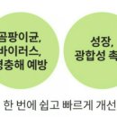 항균농장 이미지