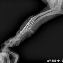 송정동물메디컬센터 이미지