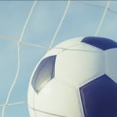 솔뜰근린공원 풋살장 | 세종 풋살장 초등학생 사망 원인 이유 축구골대 쓰러져 어디 고운동 솔뜰공원