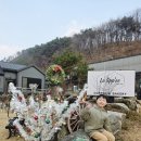 상역로 | 진안 카페 라리페카페 디저트 꽈배기 맛집