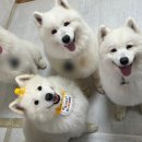 (주)화신건설 - 안동시 북평로 97 | (주)화신건설