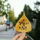 그린스톤 오토캠핑장