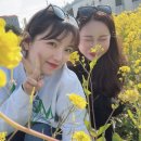 사계올레 이미지