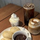 룰루랄라PC방 | 드디어 2월 일기 (feat.제주도)