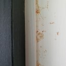 미소크린플러스 이미지