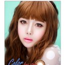 바비 펫 이미지