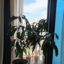 이발하기좋은날 이미지