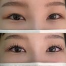 세븐일레븐 산본디오플러스점 | 산본역 LED 속눈썹 연장 타임투뷰티 후기