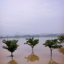 무심천 폭우 이미지
