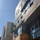 강남-248 | 강남구청역 속눈썹연장 찾는다면? 애니메연장 맛집 비올리즈 강남본점 후기