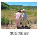 239 | 대전 근교 아이랑 갈만한 곳ㅣ공주 체험농장 아이랑 다녀온 후기 '킨더팜 체험농장'