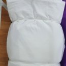 명성크린세탁 이미지