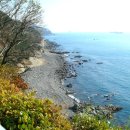 신선동-9 이미지