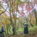 창암목장 이미지