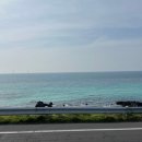 하나횟집 | 애월 맛집 바다 뷰는 덤 스끼다시 하나도 너무 맛있는 “바당횟집” 방문 후기