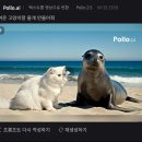 이미지 동영상 제작 | 무료 AI이미지 동영상 제작 폴로AI(pollo ai) 디자인전공자가 써봄