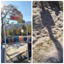 더숲엔젤 | 이렇게 놀기 좋은 곳 또 없다! 피크닉 + 놀거리 + 볼거리 다 되는 김해 가야랜드 엔젤파크 솔직후기⭐️