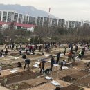 친환경나눔텃밭 이미지