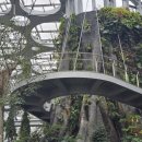 화원관광 | 상하이 비 오는 날 가기 좋은 온실화원 上海温室花园