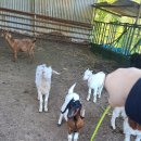 승의농장 이미지