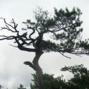 문경세재 이미지