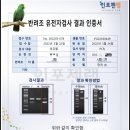 인포젠 네이버블로그