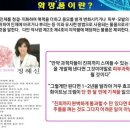 더드림(인셀덤)