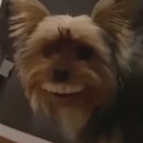 만성찬팅 이미지