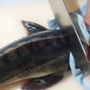 피쉬랜드낚시터 이미지