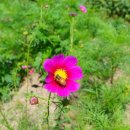 해피케어 이미지