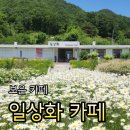 보은하다 | 충북보은여행 폐교 미술관 일상화 카페 솔직후기