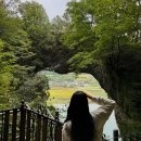 도담삼봉 자전거길 이미지