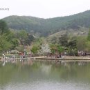 경상북도수목원 네이버블로그