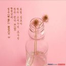 김보아 카카오 검색결과
