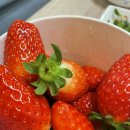 상주농협 하나로마트(2층) | [제주여행] 애월농협하나로마트