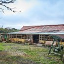 제주도예촌 이미지