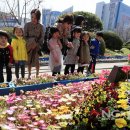 북구청광장 이미지