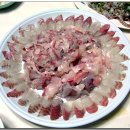 산호상회