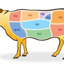 소고기 돼지고기 부위별 명칭 이미지