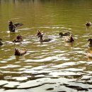 김포시 노인복지회관 이미지