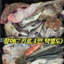 임여사수산