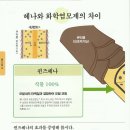 퀸즈헤나 이미지