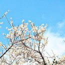 수영환경공원 이미지