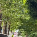 루오베이커리(Ruo bakery) 이미지