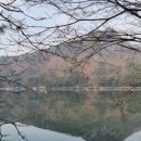 산정제주은갈치 네이버블로그