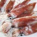 한치펜션 이미지