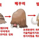 꾸꾸리 멧돼진줄알았는데 맘모스가 되네 이미지