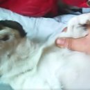 산채마당 이미지