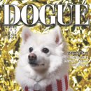 펫토피아 이미지