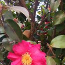 북항노을공원 이미지